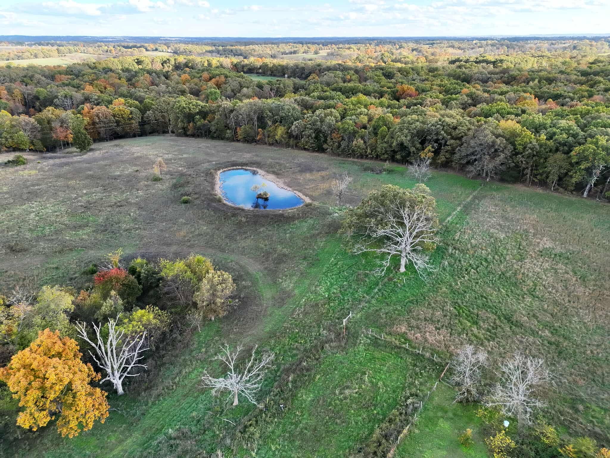 Aerial photo of a wooded property with a pond in fall color