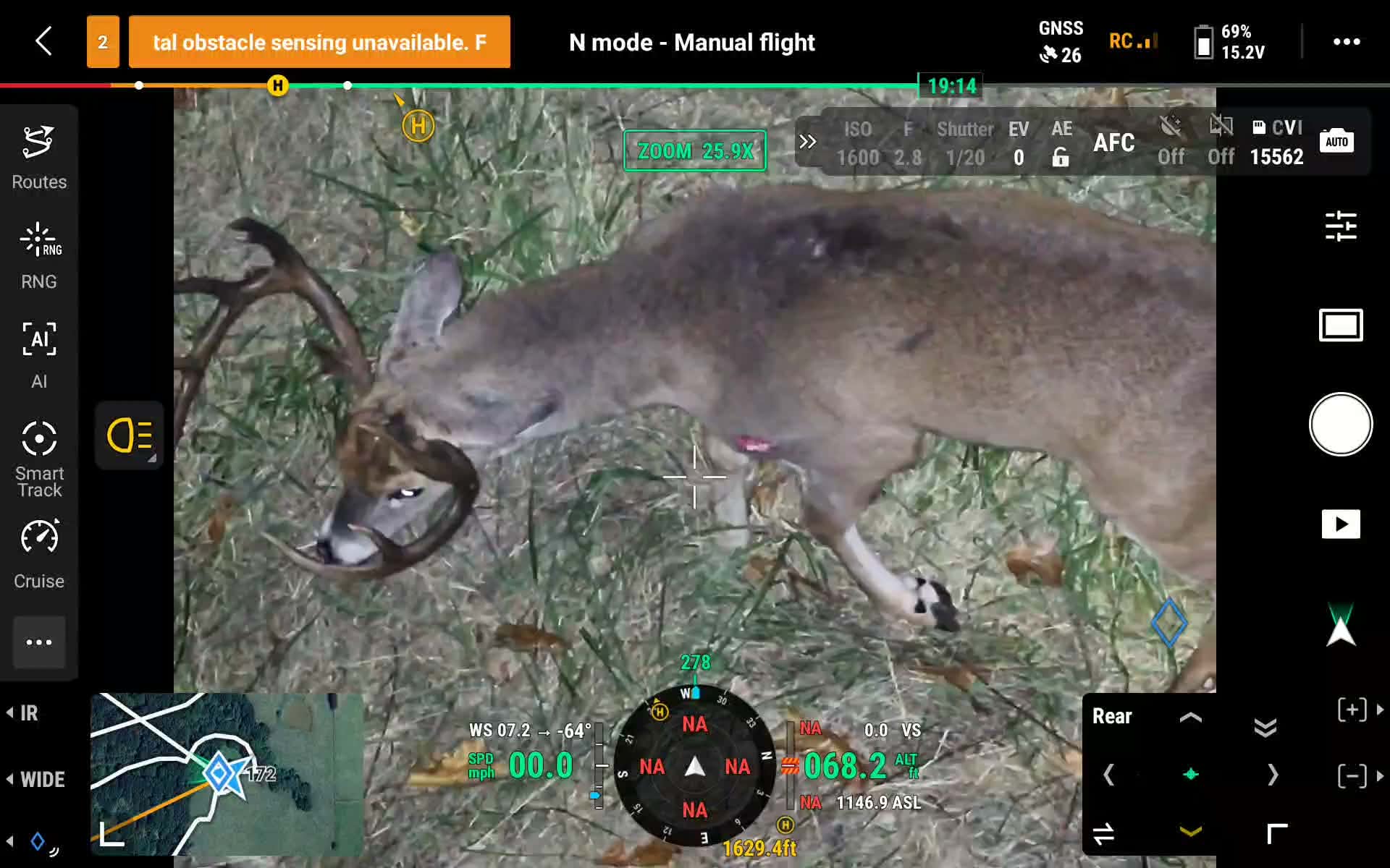Drone thermal camera zoomed in on Cody's recovered buck