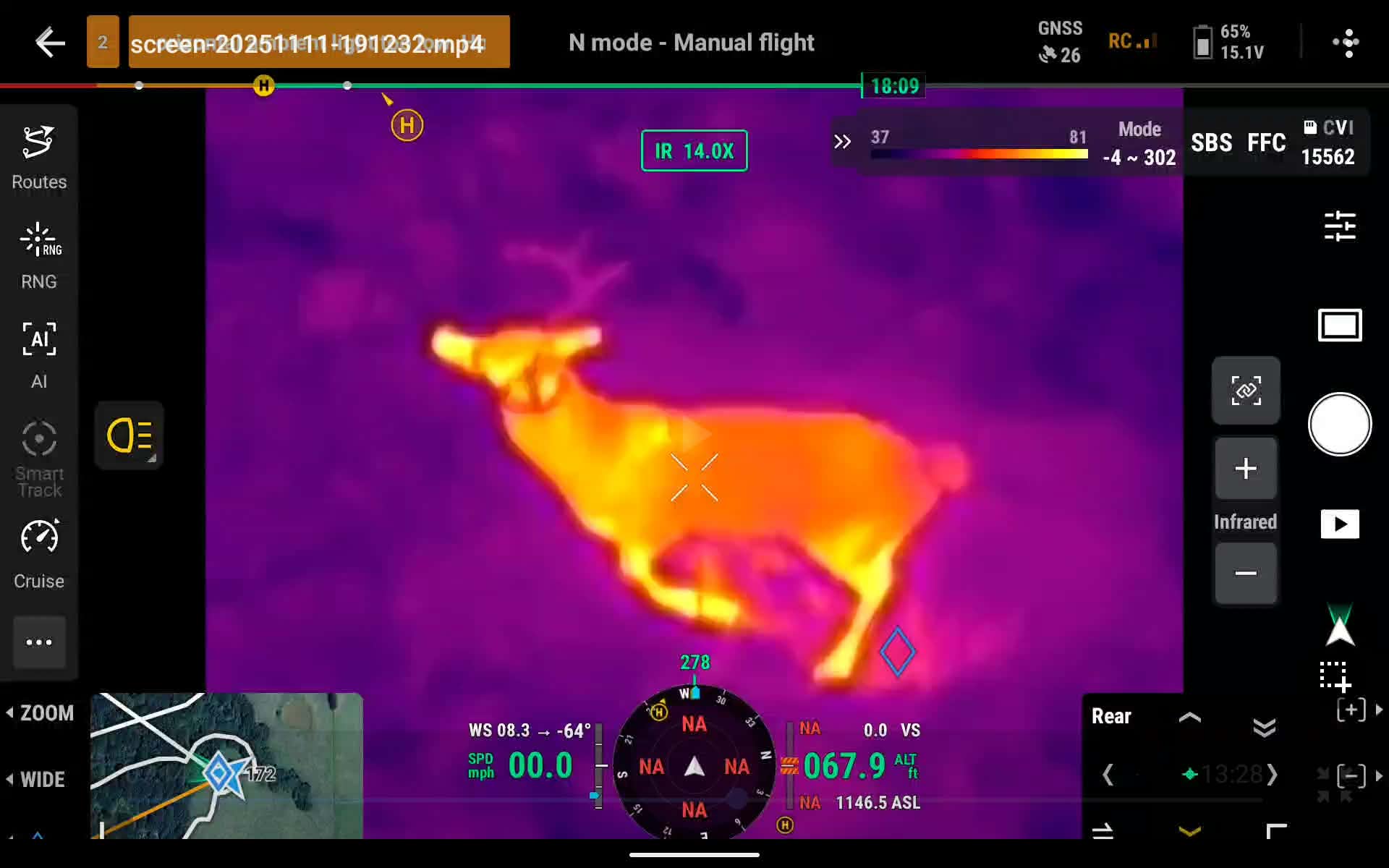Thermal camera view from the drone showing a buck glowing bright against a cool background
